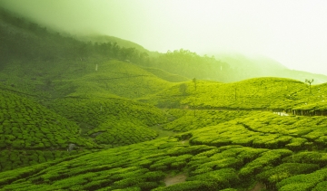 Offbeat Sikkim Trip